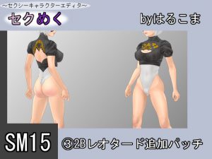 [RE195666] Seku Meku DLC: SM15(3) 2B Leotard