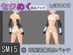 [RE196421] Seku Meku DLC: SM15(5) 2B Arm Items