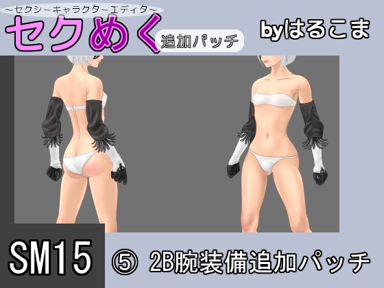 Seku Meku DLC: SM15(5) 2B Arm Items By HaruKoma