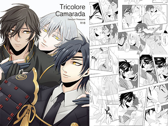 Tricolore Camarada By 五〇〇