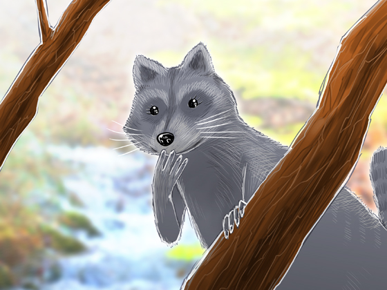 The Raccoon of Gratitude. (Arai=San Hypnosis) By Furo Ido Soft