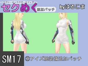 [RE203900] Seku Meku DLC: SM17(3) Ais Arm Items