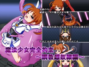 [RE213830] Magical Girl Physical Bondaga – FemSlave Discipline Edition