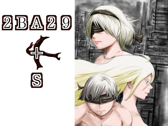 2BA29+S By TOMO