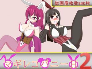 [RE237868] MagiReco Bunny Ecchi 2