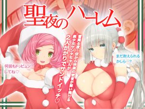 [RE239278] Holy Night Harem