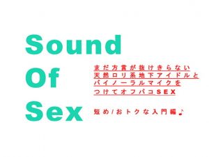 [RE269141] Sound Of Sex~ Sex with an Airhead Loli Underground Idol (Binaural / ASMR)