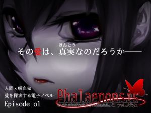 [RE276715] Phalaenopsis Ep.o1