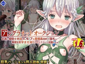 [RE284571] Underground Net Auction – Highborn Elf Captive Interspecies Sex Results LOL