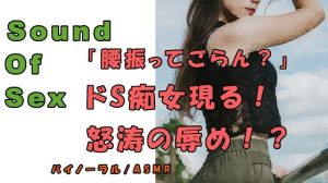 [RE292616] Nonfiction Sound Of Sex ~ A Sadistic Woman’s Bullying ~