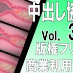 [Copyright Free] Internal Cumshot Cross-section Ero Animation Material Set Vol. 3