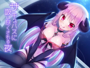 [RJ01075175] 【簡体中文版】サキュバスに吸い尽くされる夜