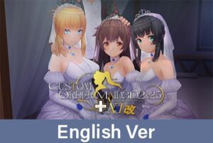 [VJ01000701] Custom Order Maid 3D2&2.5+ X1 Dark / 【英語版】カスタムオーダーメイド3D2＆2.5+ X1改