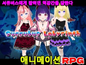 [RJ01142992] Succubus Labyrinth【한국어판】