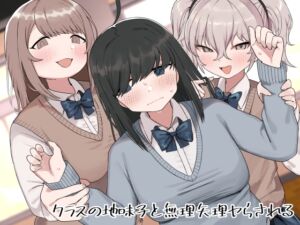 [RJ01157676] 【繁体中文版】クラスの地味子と無理矢理ヤらされる