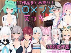 [RJ01205895] 【17作品まとめ売り】ホ〇メンとえっち【VR対応/専用】