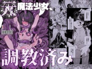 [RJ01331366] 【簡体中文版】元魔法少女、調教済み