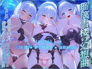 [RJ01346099] 【繁体中文版】【メイドさんハーレム♪】瑠璃雪楼の幻想曲 メイド長 夜伽メイド 修道メイドによる癒やしとえっちの三重奏【KU100ハイレゾ】