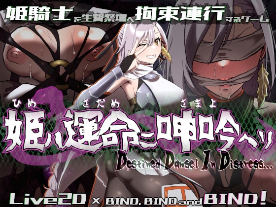 姫ハ運命ニ呻吟ヘリ Destined Damsel In Distress By egig ere faundation