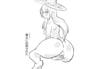 [RJ01405693] 【韓国語版】魔女に拉致された