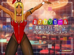[RJ01435003] PCS#02 Hなバニースーツ – おさわりガール追加コスチュームセット