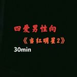 【中文音声】当红明星2病娇版