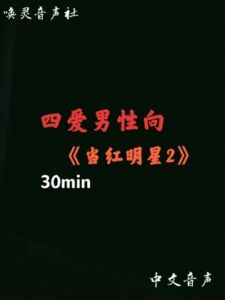 [RJ01457872] 【中文音声】当红明星2病娇版